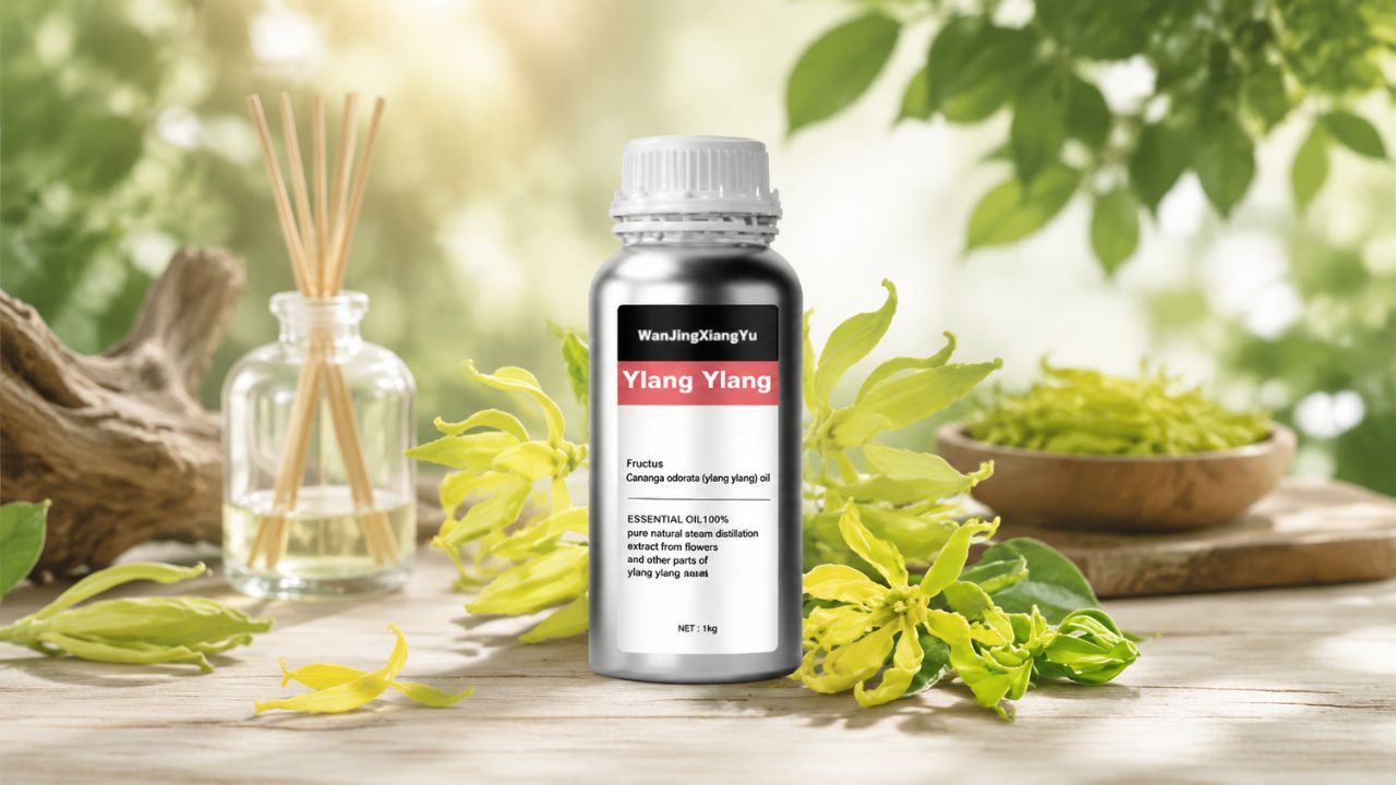 Alleviate Stress and Anxiety 