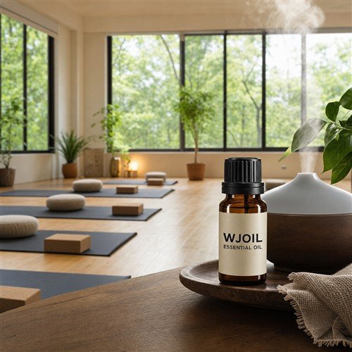 Yoga & Meditation Studios