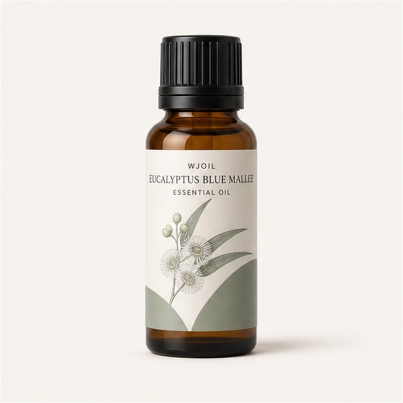 a-Eucalyptus Blue Mallee Essential Oil