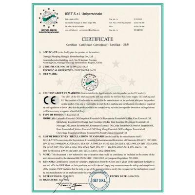 CE