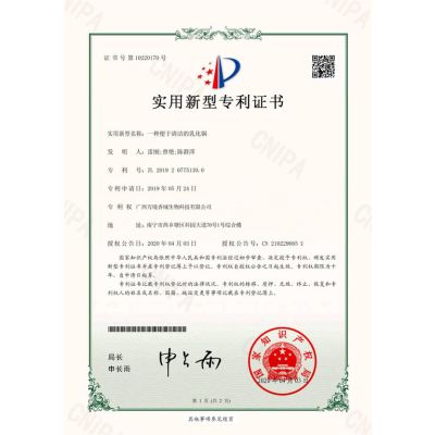 Patent