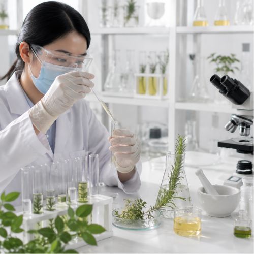 Research & Development and Innovation