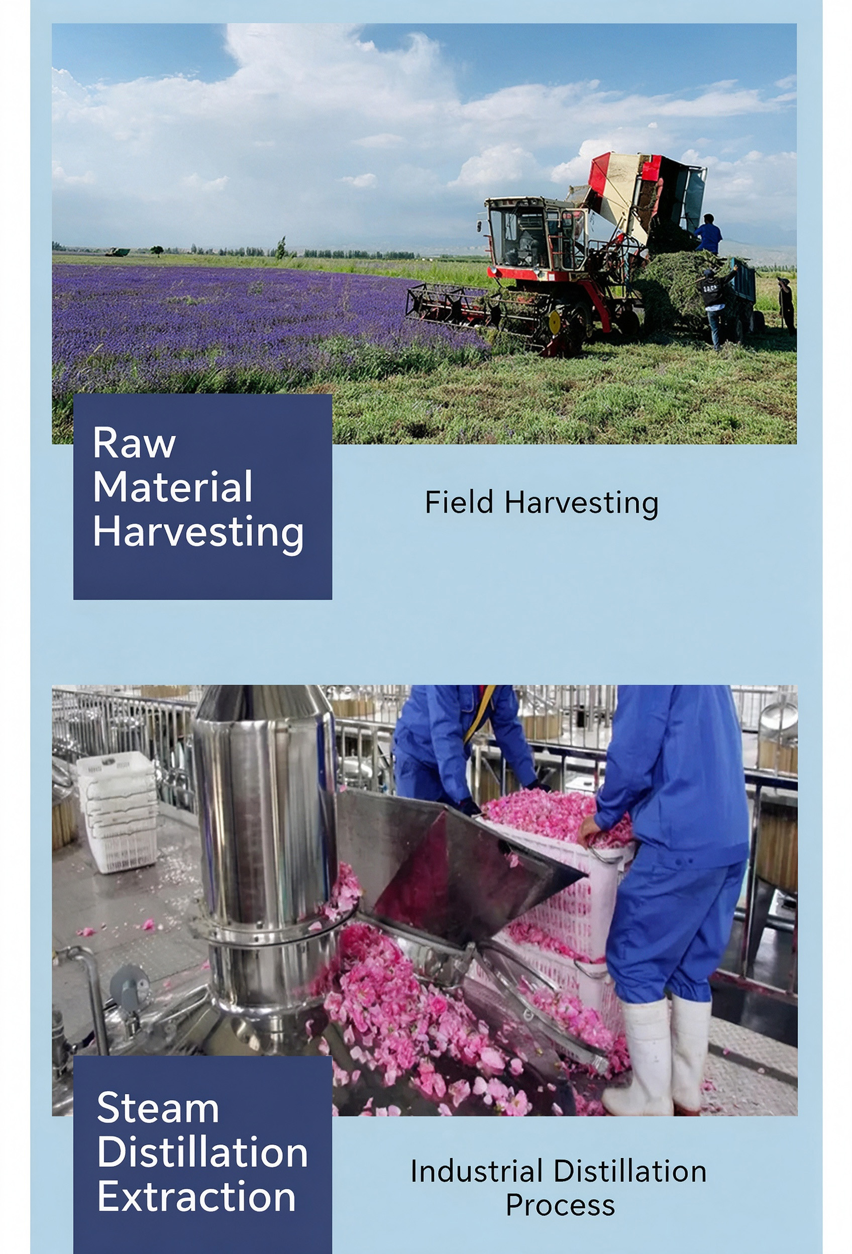 Raw materials